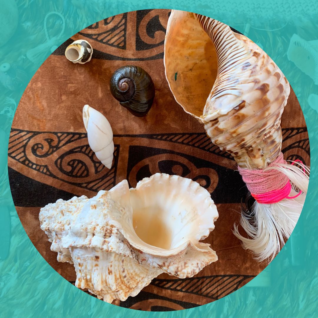 Pūtātara, Pūmoana and Pūpū