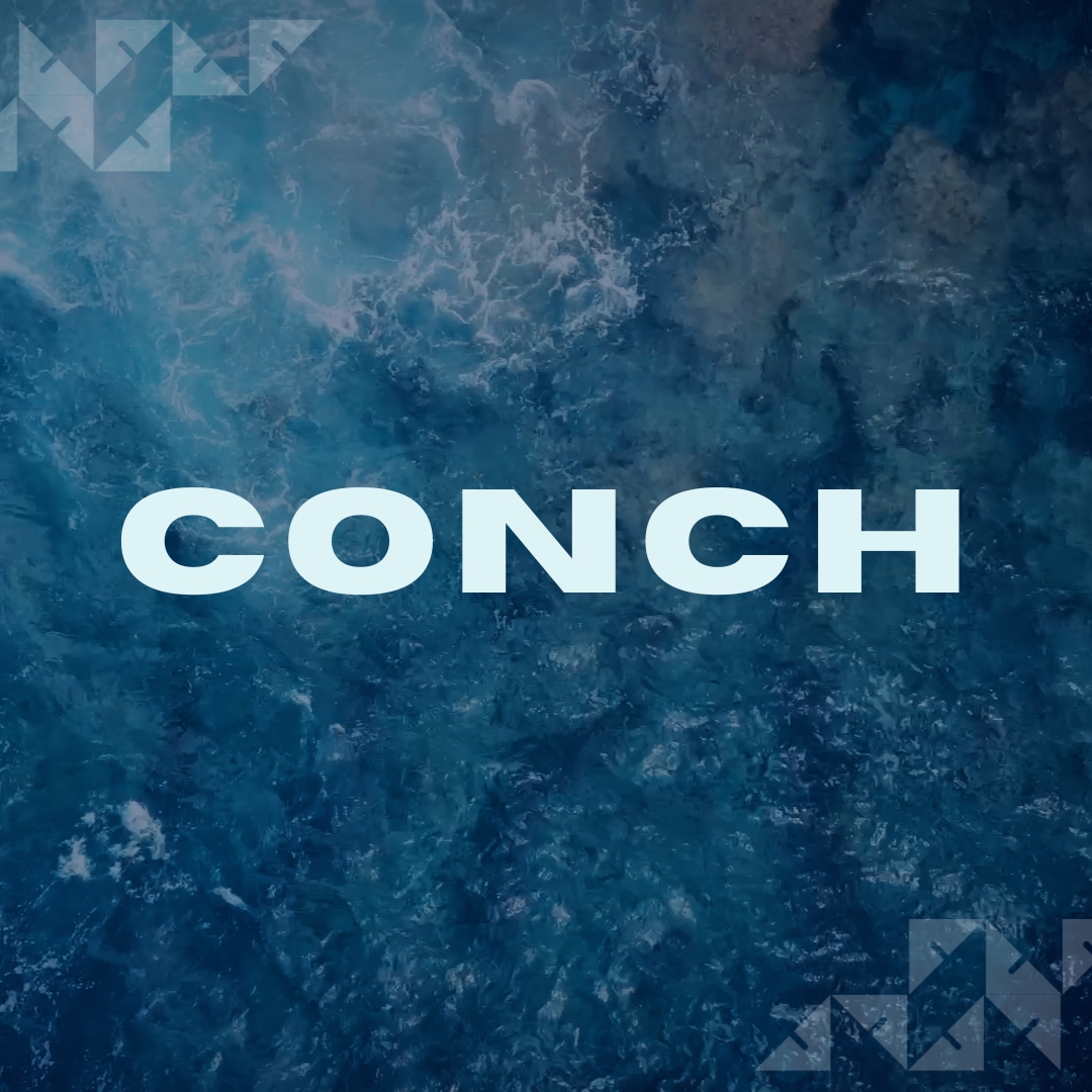 conch