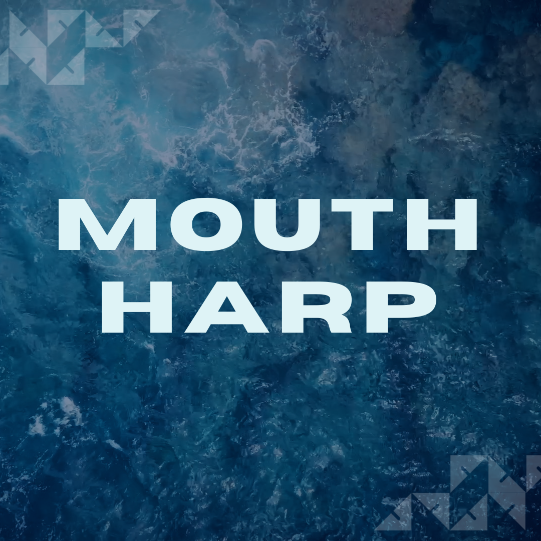 mouth harp